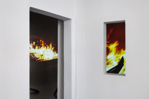 exhibition by Evgeniya Martirosyan, To Ashes, GOMA
